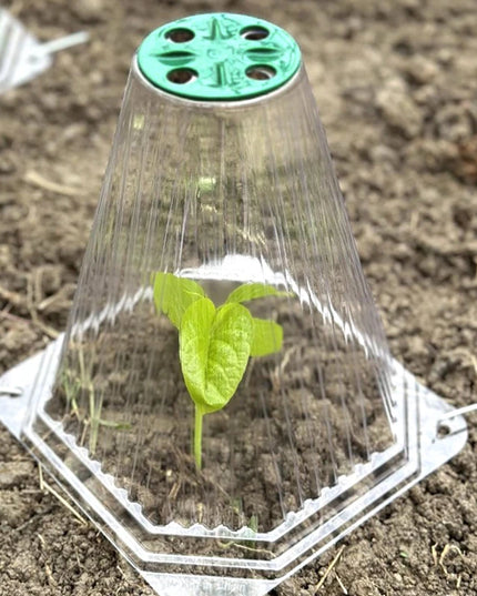 10/20PCS Cone Plant Seedling Protective Cover Nursery Seedling Planting Tent Reusable Anti-Bird Prevents Snail Damage Vegetable