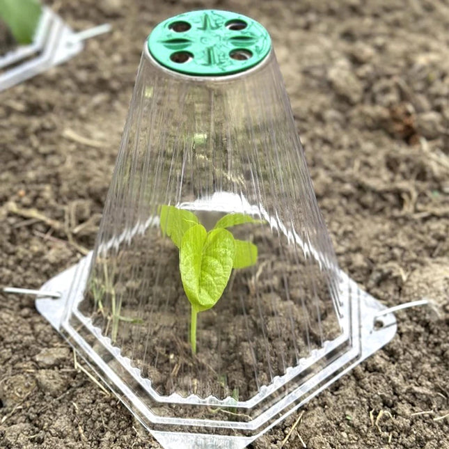 10/20PCS Cone Plant Seedling Protective Cover Nursery Seedling Planting Tent Reusable Anti-Bird Prevents Snail Damage Vegetable