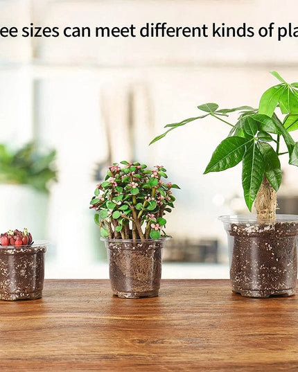 Transparent Flowerpot Nursery Pots - Thickened Plastic Planters, Drainage Hole