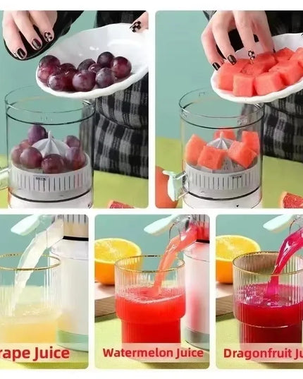 Fully Automatic Portable Fruit Juicer - Residue Separation and Spiral Design