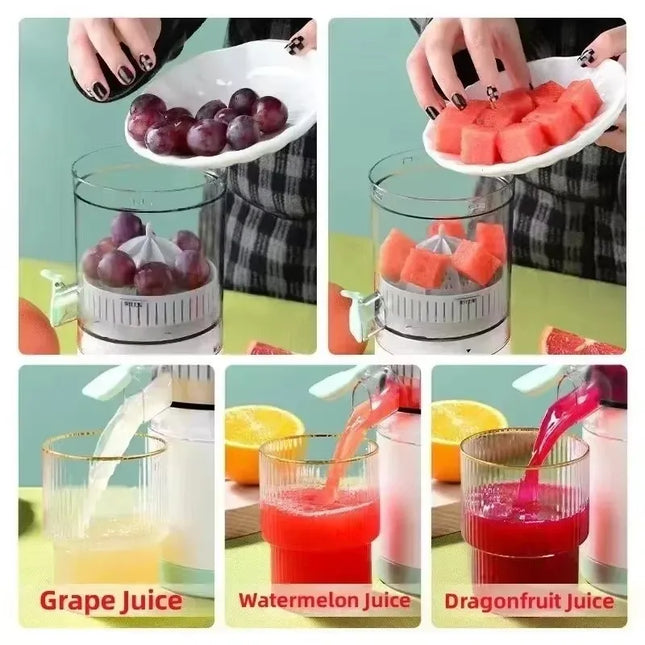 Fully Automatic Portable Fruit Juicer - Residue Separation and Spiral Design