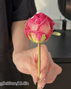 C-Rose pink