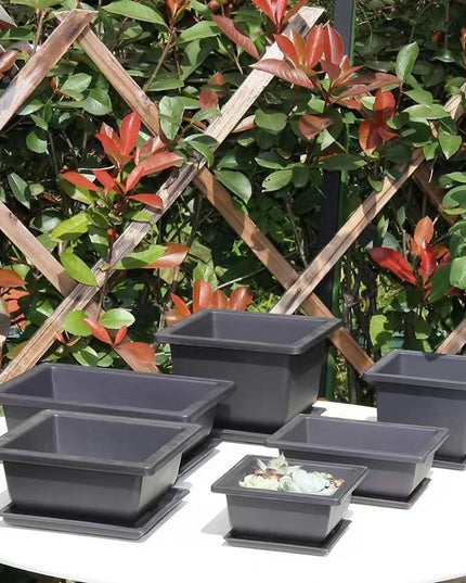 Purple Imitation Pottery Flowerpot - Square, Oval, Hexagonal Planters