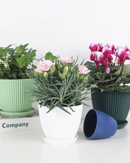 Plastic Flower Pot Succulent Plant Pot with Tray Green Dill Round Double Layer Small Flowerpot Home Office Desktop Decoration