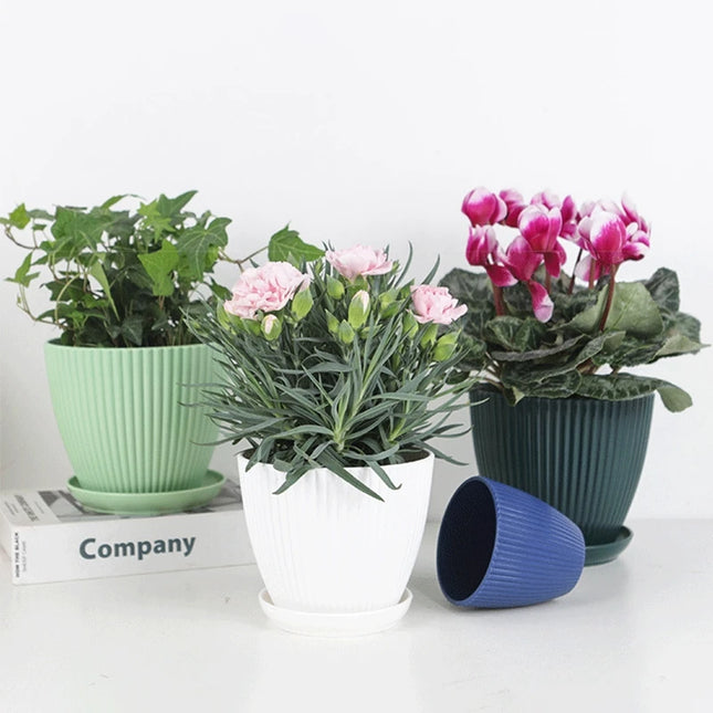 Plastic Flower Pot Succulent Plant Pot with Tray Green Dill Round Double Layer Small Flowerpot Home Office Desktop Decoration
