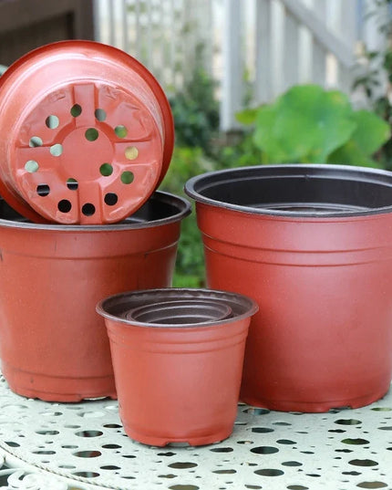 50/20pcs Plastic Flowerpots Simple Nursery Seedling Pot Flowers Seed Breeding Planters Container Box Garden Supplies Tool
