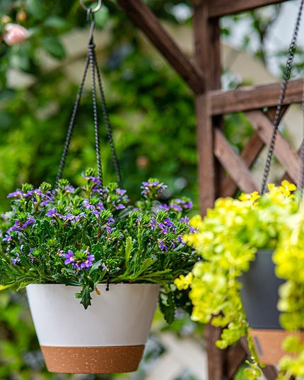 Modern Hanging Basket Flowerpot for Chlorophytum - Green Plant Decor