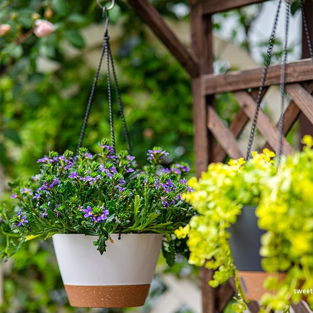 Modern Hanging Basket Flowerpot for Chlorophytum - Green Plant Decor
