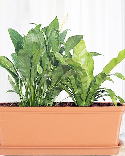 High-quality Gardening Flower Pot Thicken Plastic Planting Pot Balcony Vegetable Flower Pot Rectangular Planting Planters