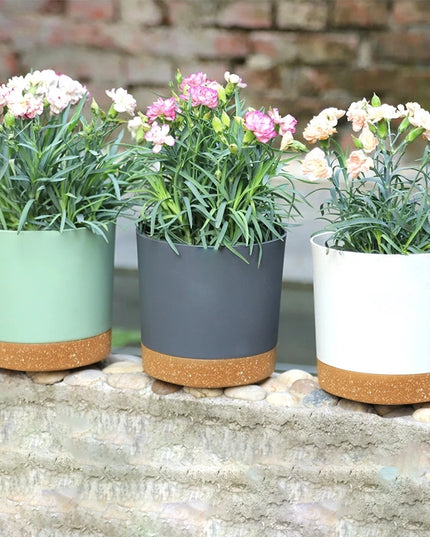 Large Indoor Succulent Planter - Circular Plastic Pot with Tray